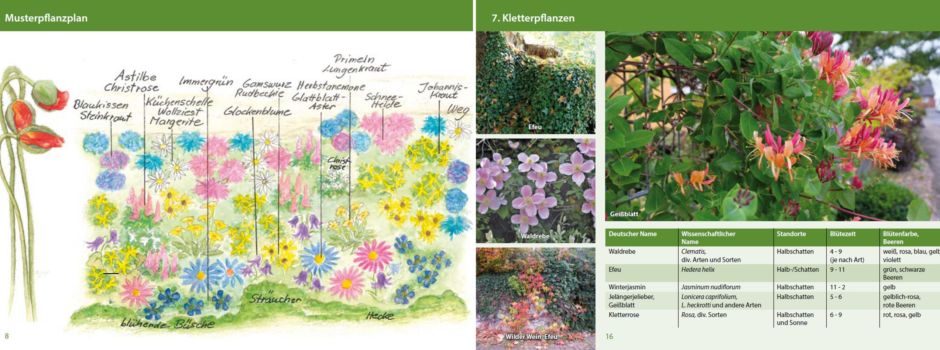 Vorgärten in der Samtgemeinde Horneburg – lebendig, bunt und pflegeleicht