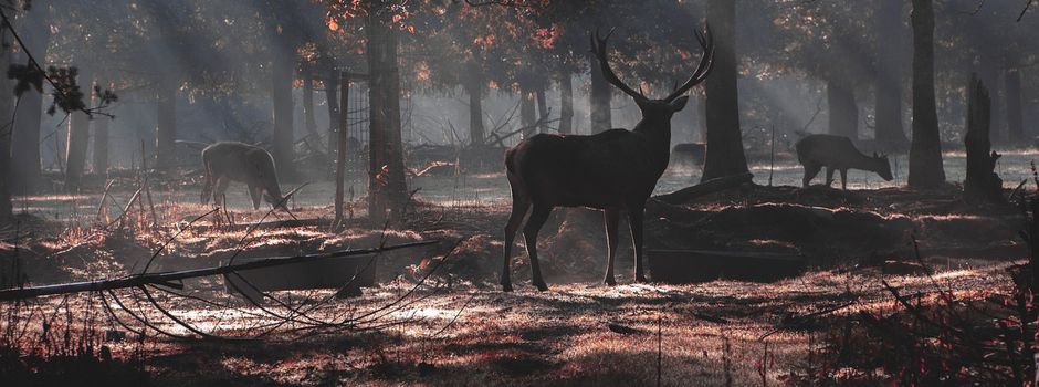 Rücksicht nehmen, Natur schützen – ein Appell an die Vernunft