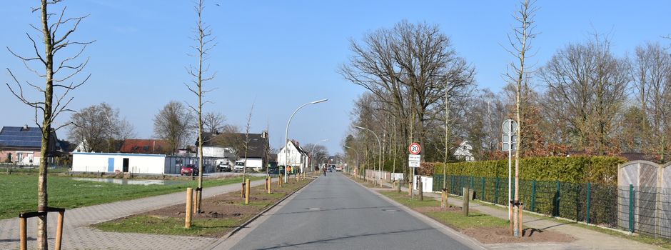 „Brocker Straße“ neu bepflanzt