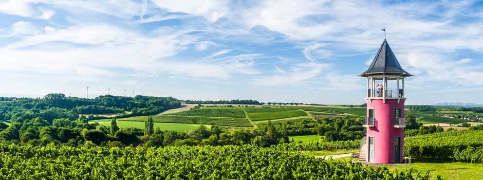 Best of Rheinhessen: Wanderglück im „Land der tausend Hügel“