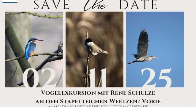 Vogelexkursion an den Stapelteichen