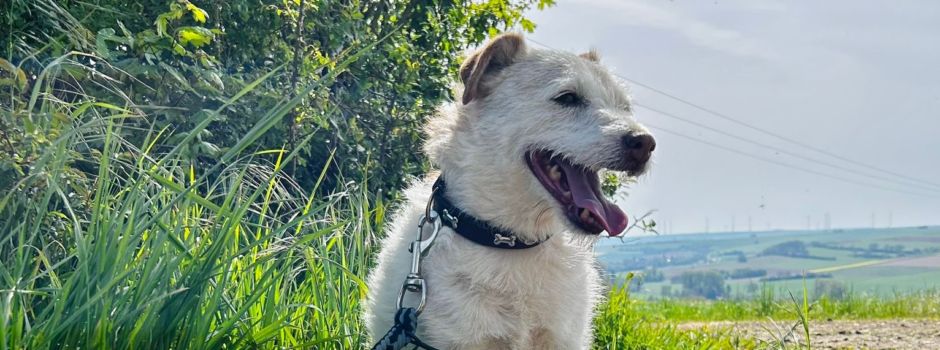 Spende der Maiwanderung 2024