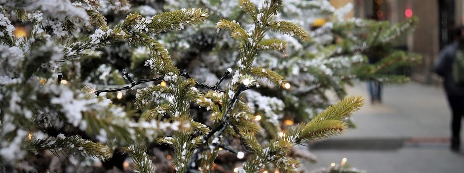 Abholung Weihnachtsbäume HEUTE
