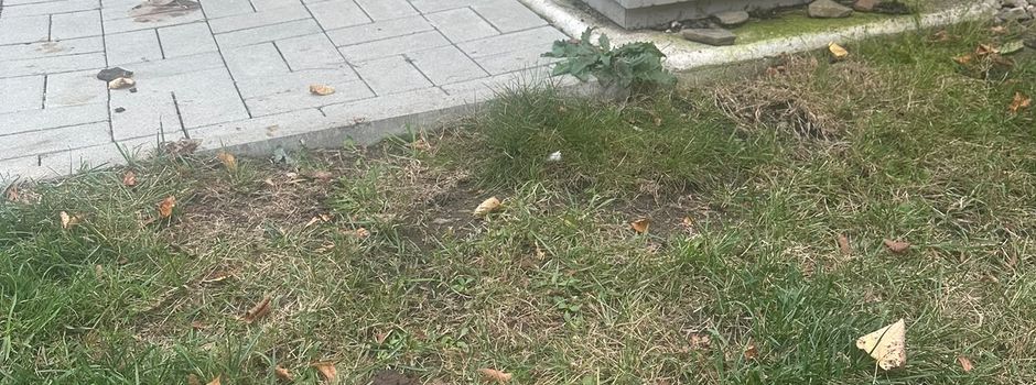 Gemeinsam für ein sauberes Jerxheim