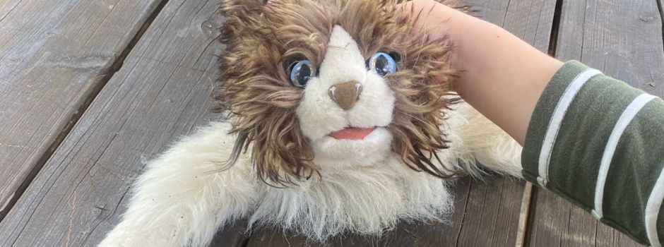 Katze gefunden
