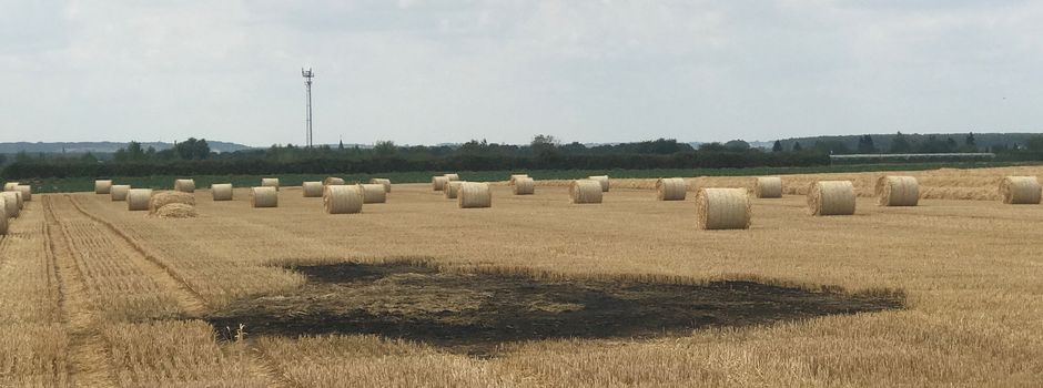 Feld an der "Großen Heerstraße" in Flammen