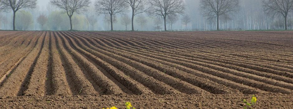 Beteiligung zum gemeinsamen Flächennutzungs- und Landschaftsplan startet