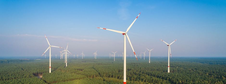Windenergie in Welle? Wir klären auf.