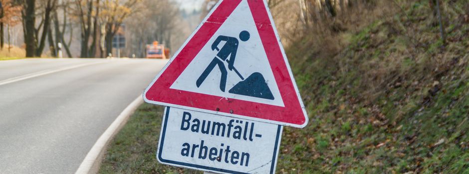 Baumfällarbeiten bei Bassel und Brock