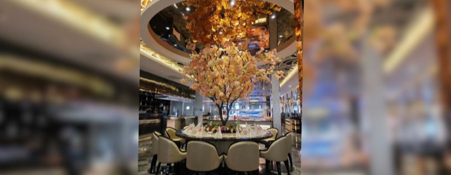 Neues asiatisches Restaurant eröffnet in der Wormser Innenstadt