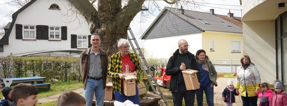 Nistkästen im Kindergarten St. Martin gegen den Eichenprozessionsspinner