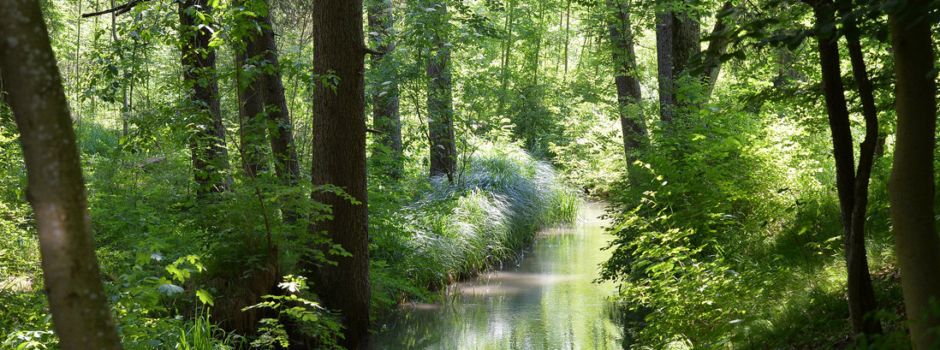 Pfingstferien: Ausflugsziele in Augsburg und ganz Bayern