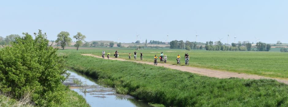 Leuschnerlauf auf den Spuren der Vergangenheit