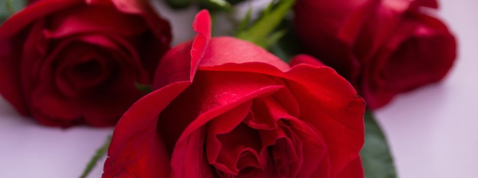 Die Pinnower Seniorinnen und Senioren feierten den Internationalen Frauentag