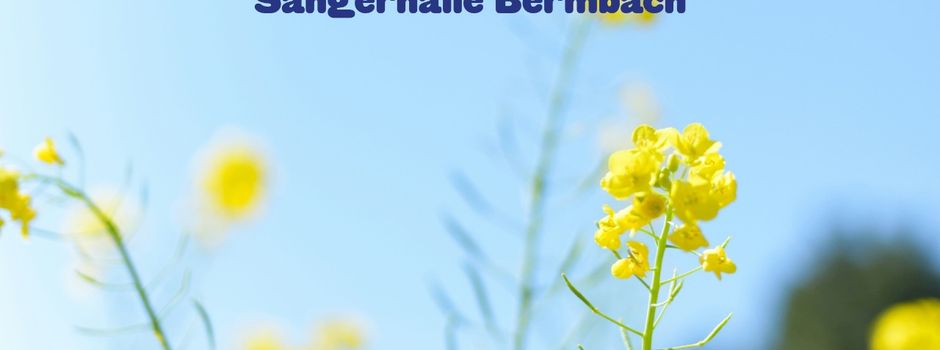 Querbeet im Frühling