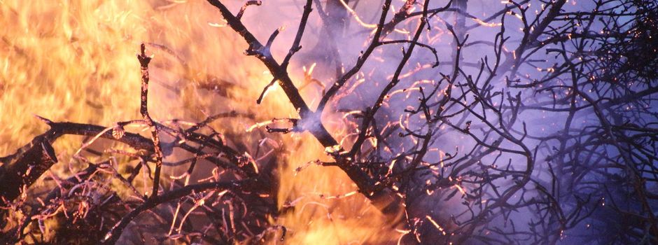 Waldbrandgefahr - Hinweise zum richtigen Verhalten aufgrund der anhaltenden Trockenheit