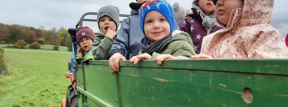 Holz sammeln für unser Martinsfeuer