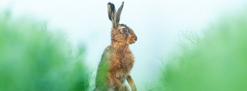 Spannender Familiennachmittag auf der Spur des Osterhasen