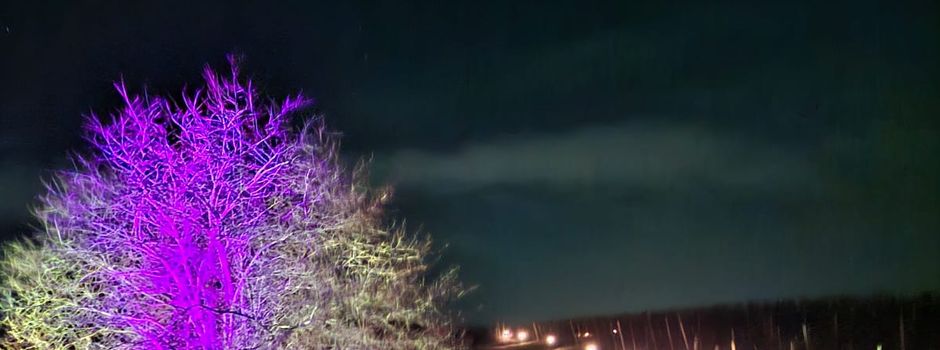 Alsheimer Winter-Weinwanderung begeistert hunderte Gäste