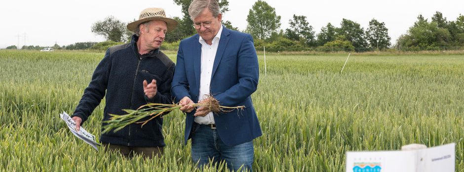 Regionale Landwirtschaft: Drüber und Drunter untersucht Ackerpflanzen bei Trockenheit und Nässe