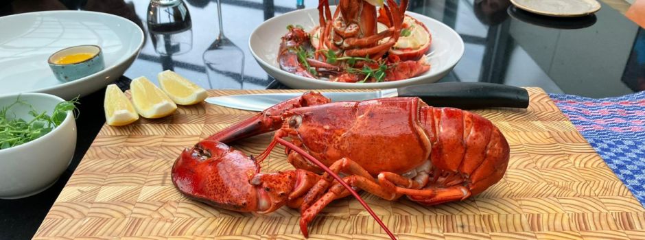 In welchem Mainzer Restaurant ihr jetzt bei einem Starkoch essen könnt