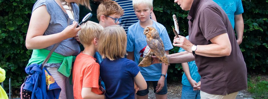 Mit dem Heimatverein Clarholz gingen Kinder auf nächtliche Fledermaus-Entdeckung