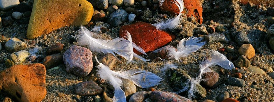 Fundsache: Hörgerät