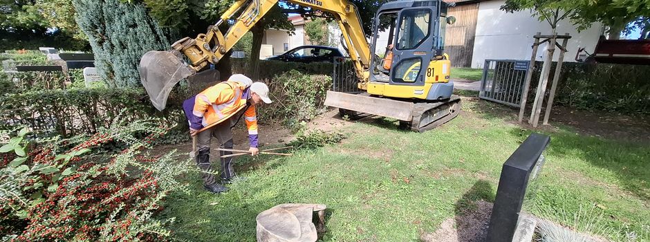 Pflasterung eines Fußweges auf dem Friedhof