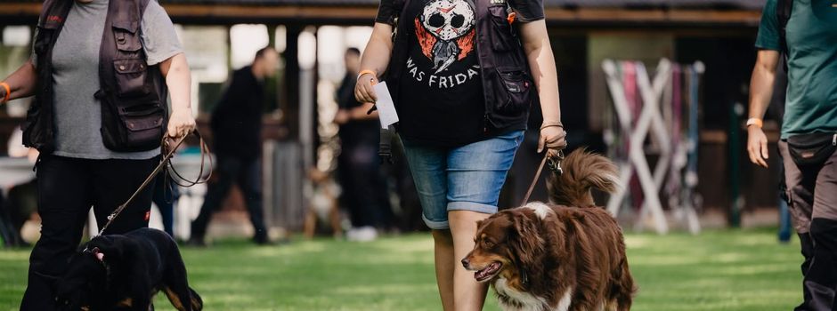 Outdoor-Rallye zum Tag des Hundes beim VSG Ravolzhausen! 🐾✨