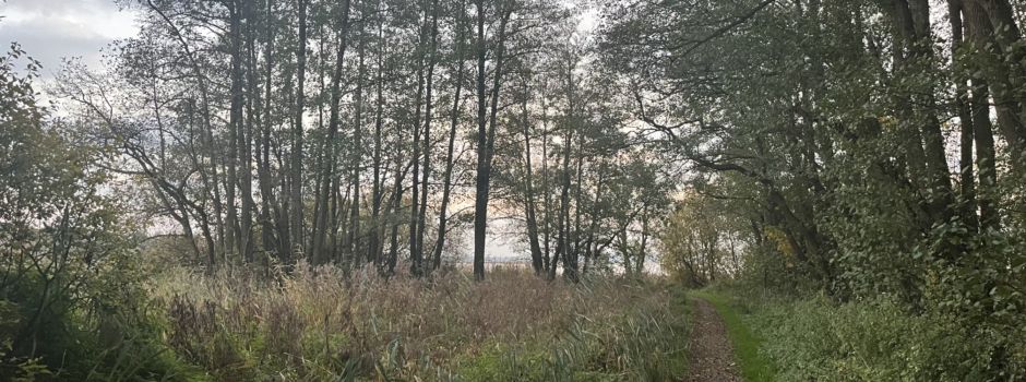 Strandzugang Westerfelder Weg wieder offen