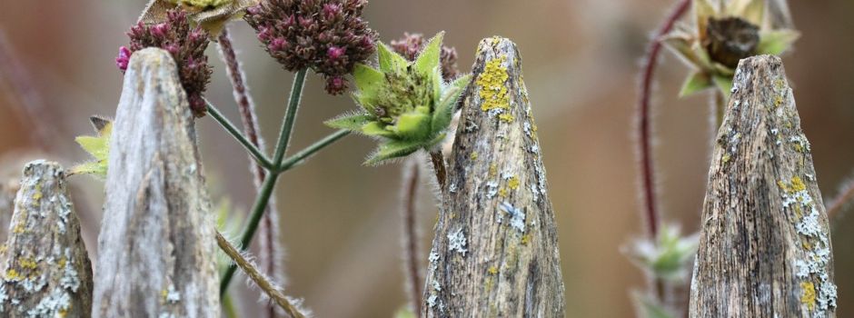 Weiterhin: Helfer gesucht für Samstag Vormittag