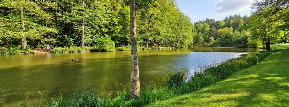 Eisweiher: Gemeindeschwester lädt Senioren zum Spaziergang ein