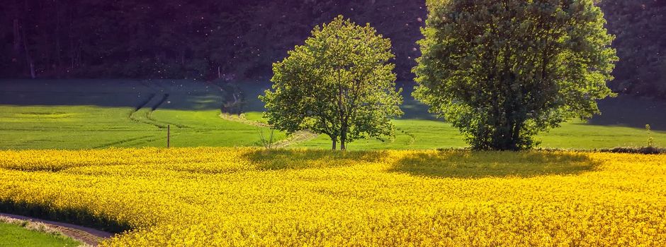 Öffentlicher Hinweis - Information an landwirtschaftliche und forstwirtschaftliche Unternehmen
