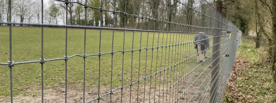 Wolf und Pferdehaltung: FDP Heidekreis lädt zu Mahnfeuer und Kundgebung ein