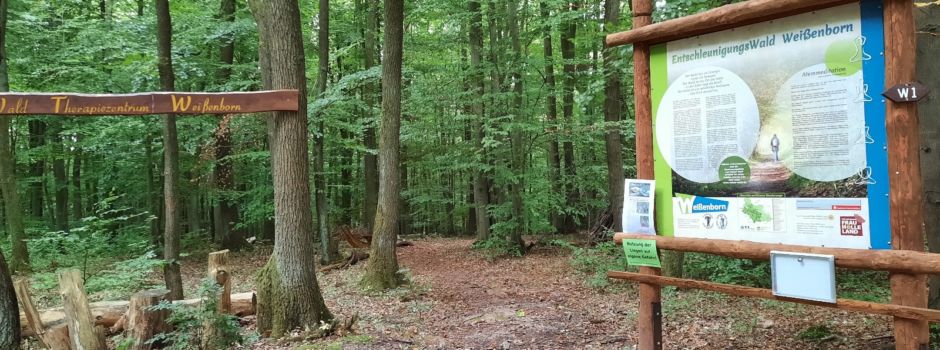 Am 11. Mai ist Muttertag