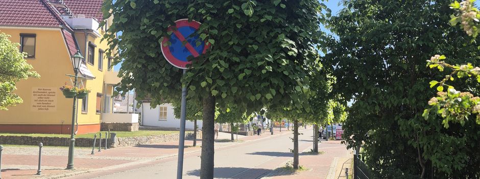 Baum- und Pflanzenpflege in der Gemeinde