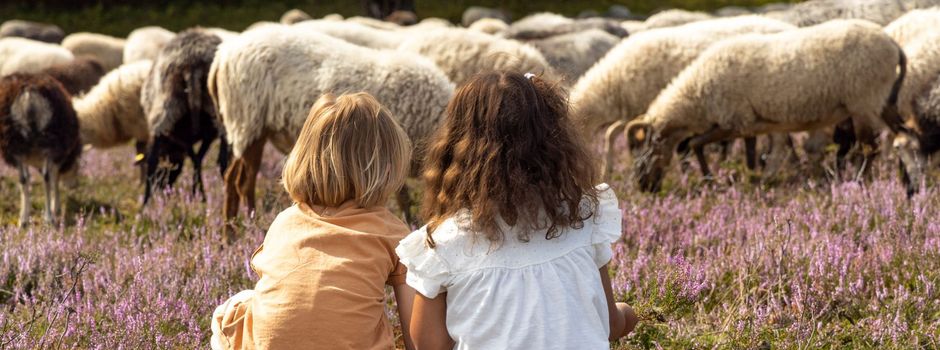 Abenteuer Heidschnuckenweg