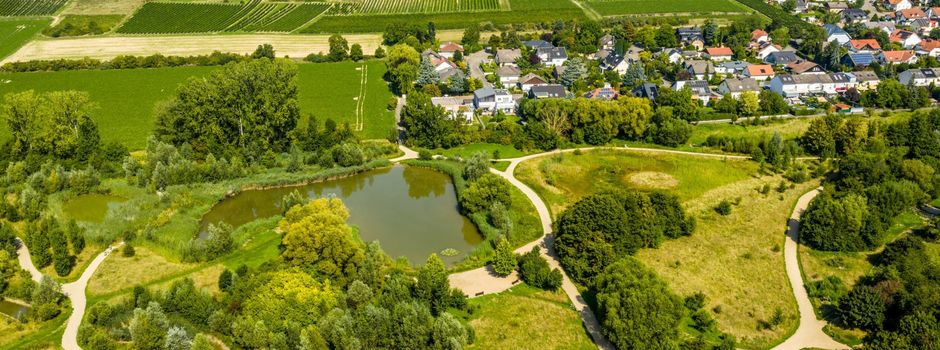 Hiwweltour Saulheimer Hölle: Wandern in Rheinhessen - Blogbeitrag von Heiko Müller