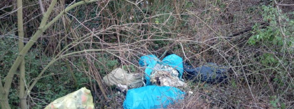 Illegal wird Wilder Müll in der Gemarkung Guntersblum entsorgt