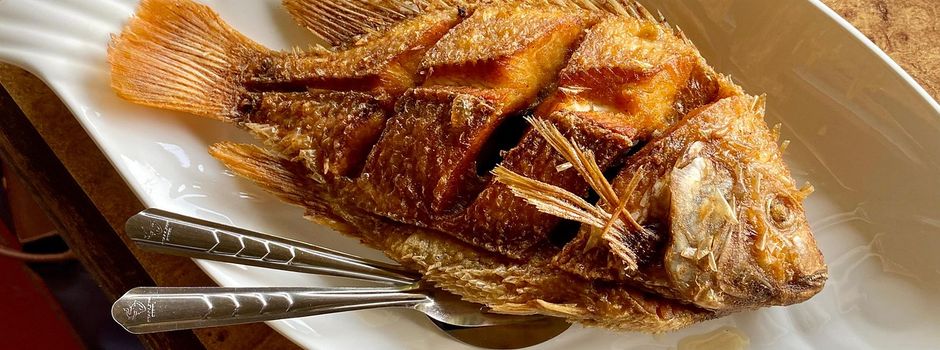 Bertls Karpfen: Ein Fest für den guten Zweck