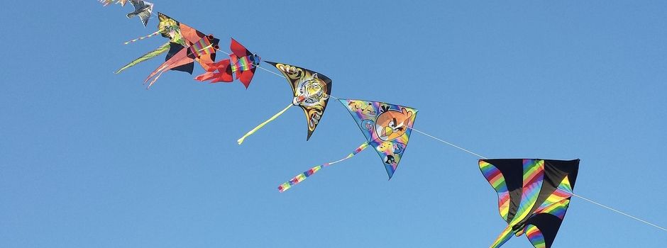 Drachenfliegen in Braak nicht verpassen