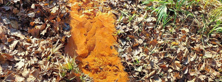 Rötliche Verfärbung in Bächen? Kein Grund zur Sorge!