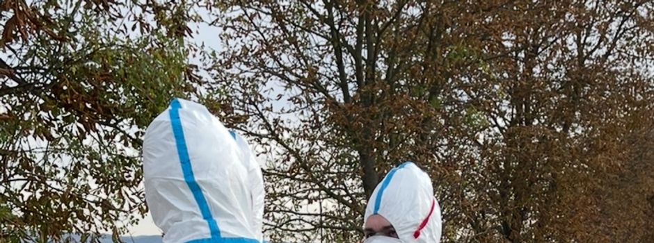 Vogelgrippe jetzt auch in unserem Landkreis 