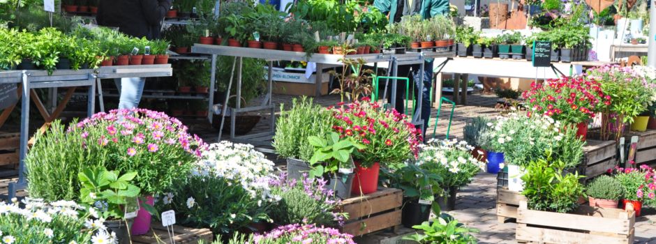 Traditioneller Gartenmarkt in Oppenheim