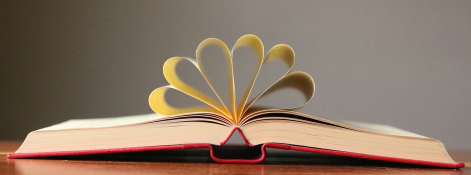 Bücherliebe im Herbst: sunsets & books im September und Oktober