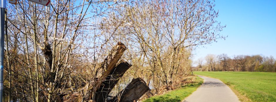 Puls!-Listing: Ausflüge und Radtouren rund um Niederkassel