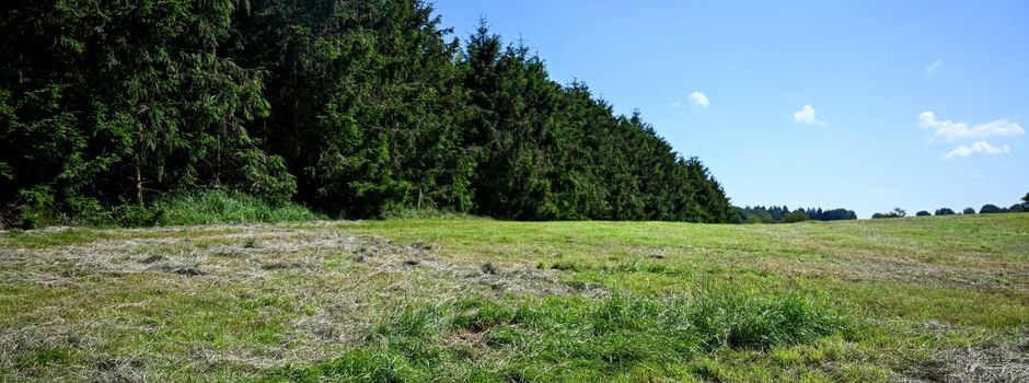 Arian gefunden? Viele Fragen nach Fund einer Kinderleiche