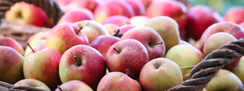 Obst zum Selbstpflücken