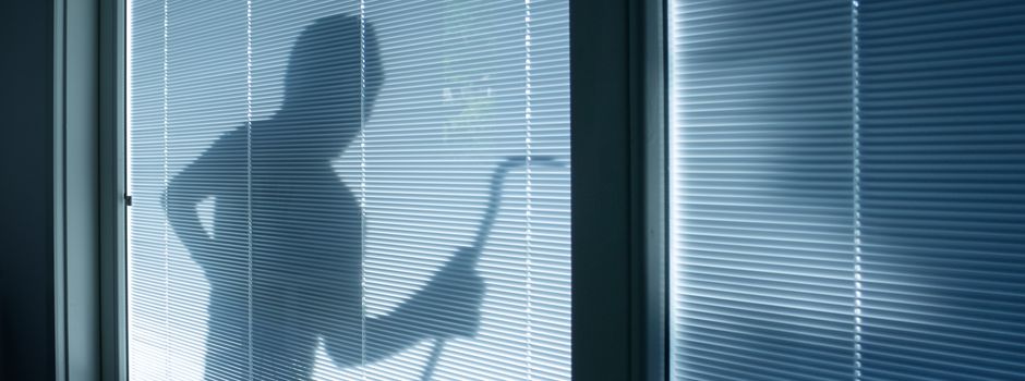 Einbrecher flüchten mit Diebesgut