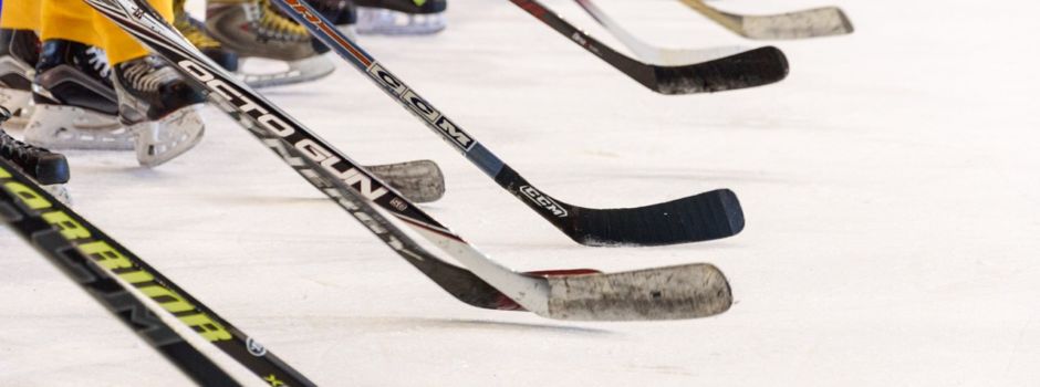 Achtung - Wohnungssuche der Eisbären Regensburg: Zeitlarn unterstützt!